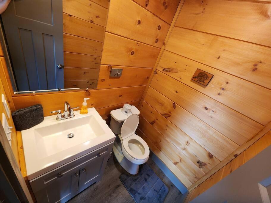 Dancing Bear Cabin- Relax & Enjoy! Sevierville Exteriör bild