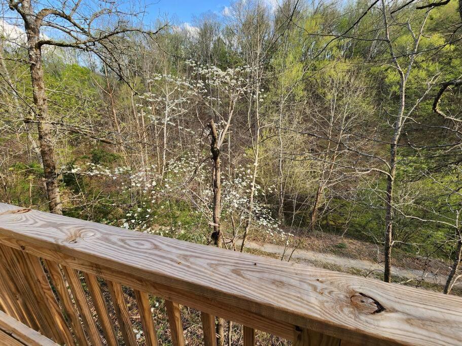Dancing Bear Cabin- Relax & Enjoy! Sevierville Exteriör bild