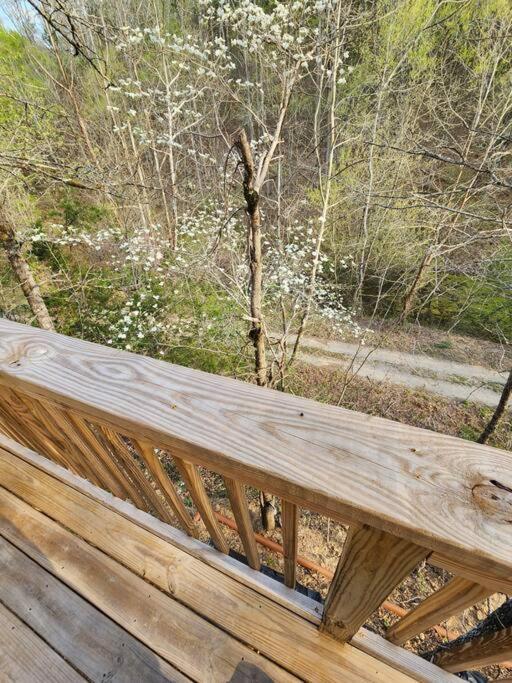 Dancing Bear Cabin- Relax & Enjoy! Sevierville Exteriör bild